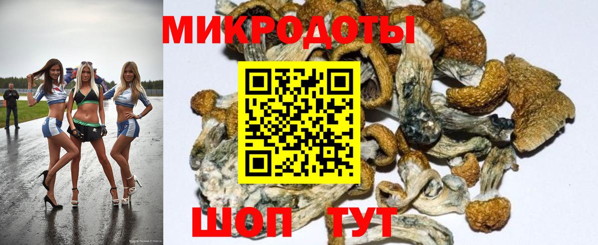 Галлюциногенные грибы мухоморы  Вход с VPN  Дагестанские Огни 