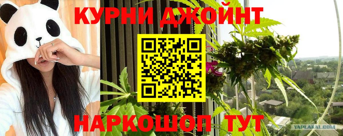 Бошки Шишки AK-47  Шишки марихуана семена  Бошки Шишки Ganja  Дагестанские Огни  Вход с VPN 